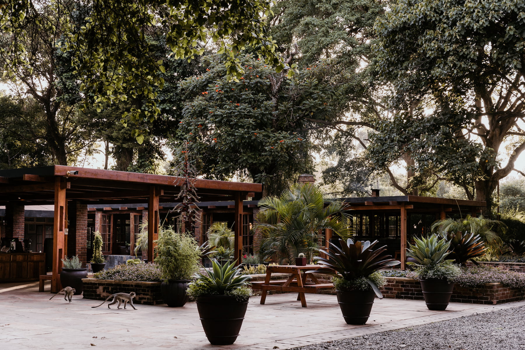 Hotels, Lodges und Camps in Tansania